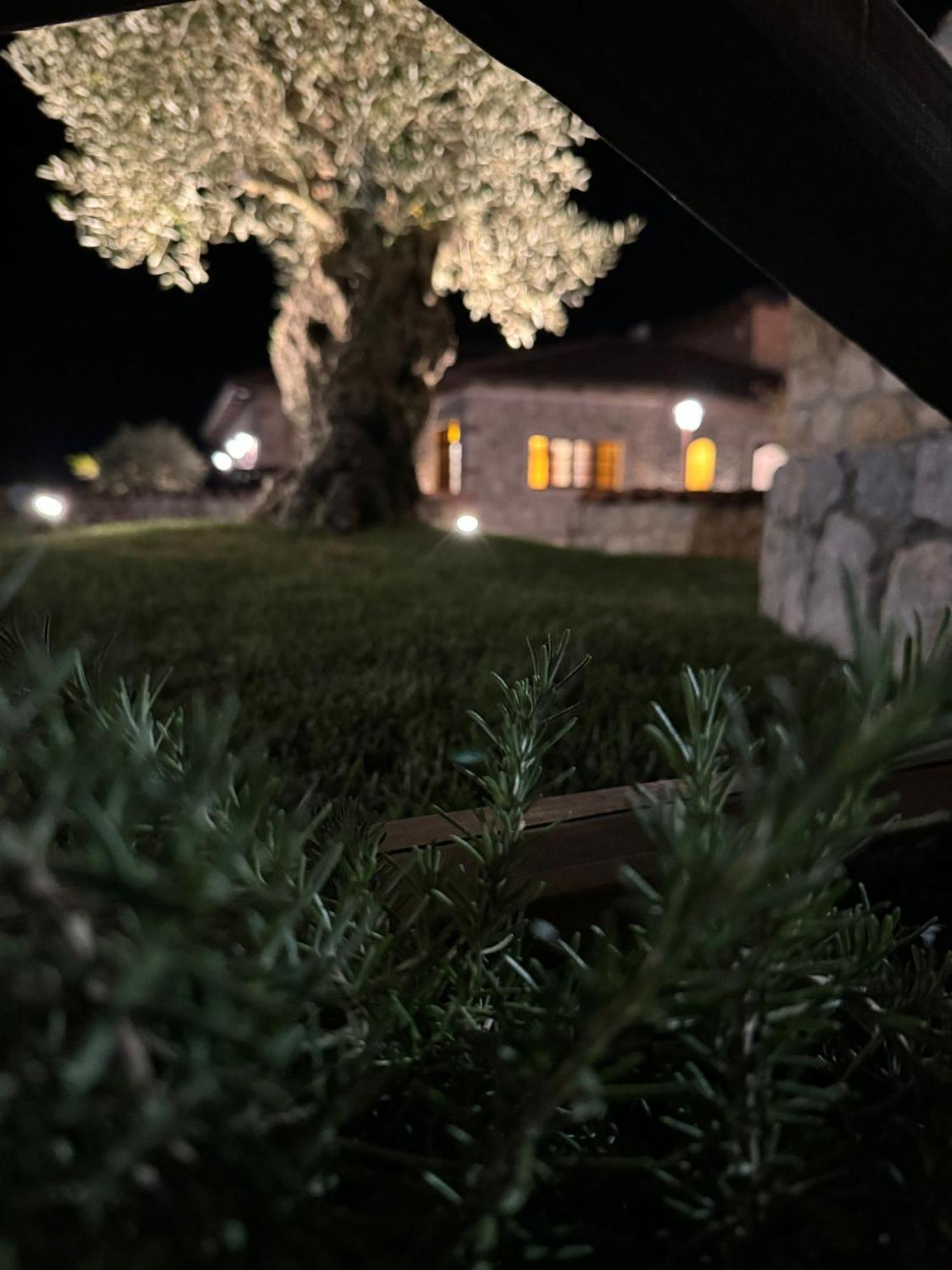 Tenuta Rosa - Gastronomia E Relax Montesano Scalo Exterior photo